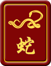 Snake zodiac year
