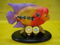 Flower horn FENG SHUI FISHES